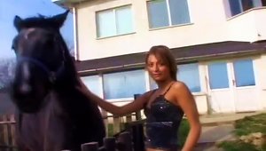 Horny Girl In S Sucks A Cock In A Stable
