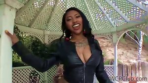 Exotic Chick Getting Impaled By A Huge Black Prong